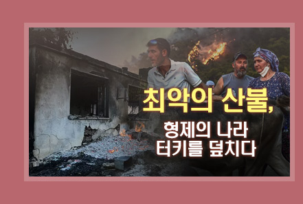 터키산불